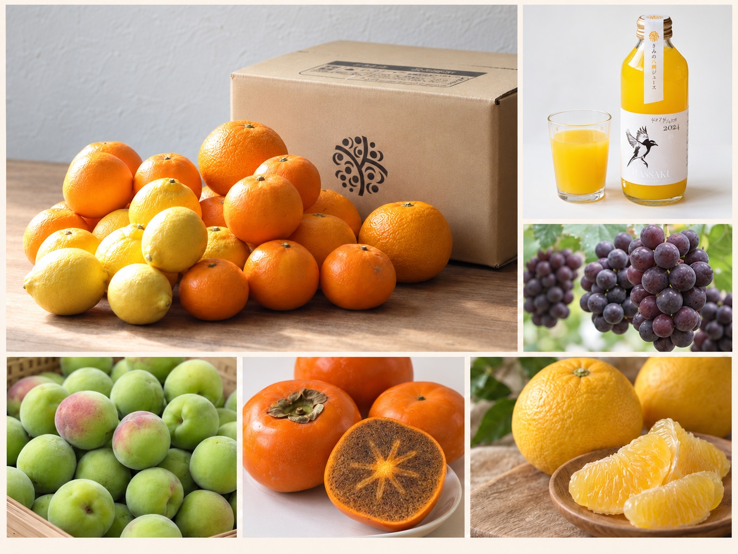 このみ　FRUiTS 8冊おまとめ すべての商品 | きみのフルーツ